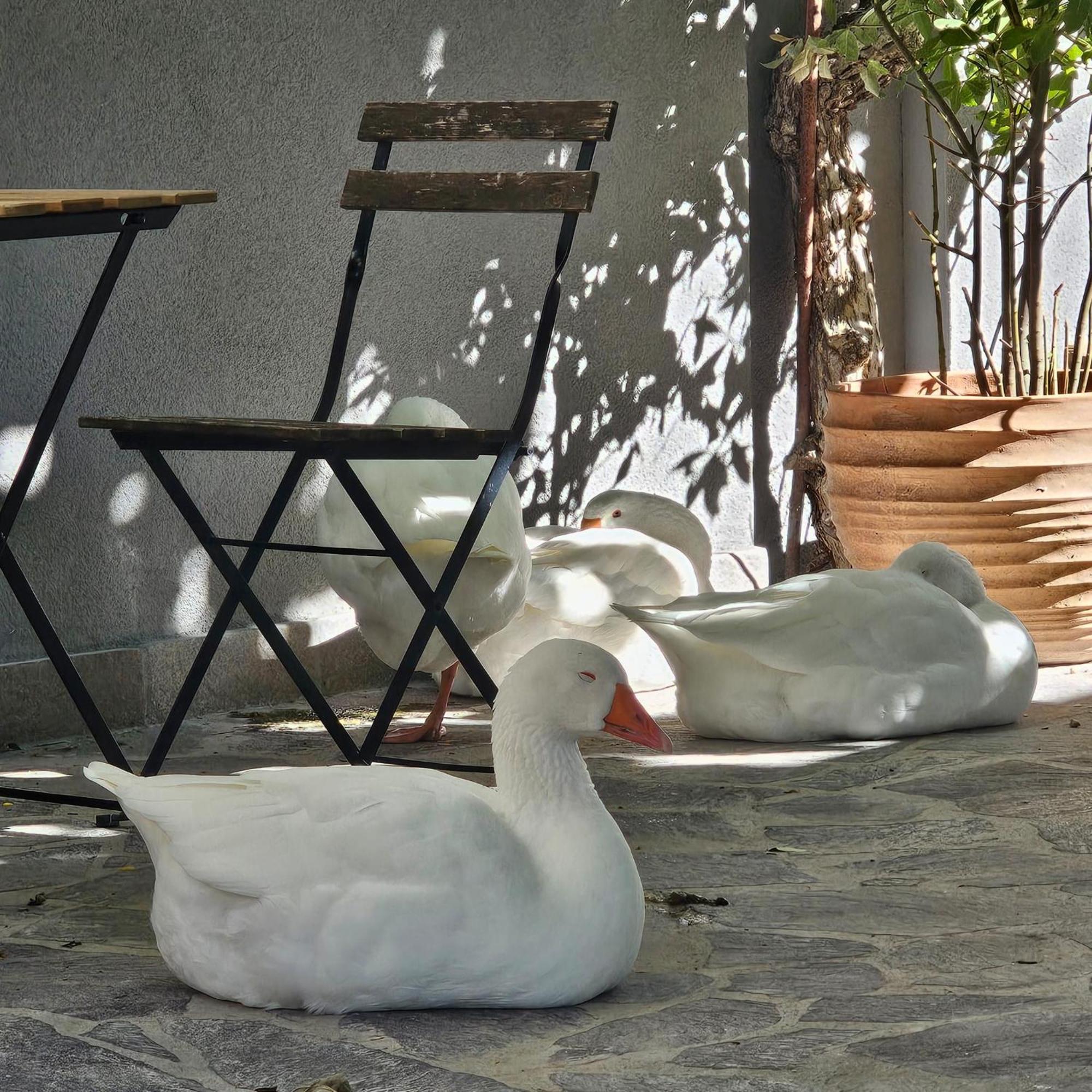 Room & Parking In Centro Citta Con Parcheggio Privato E Wifi Potenza Exterior photo